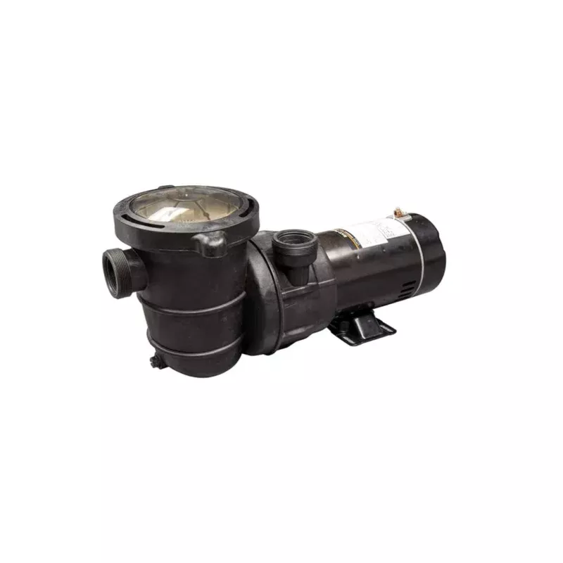 1.0 HP Blue Torrent Vertical Discharge pump