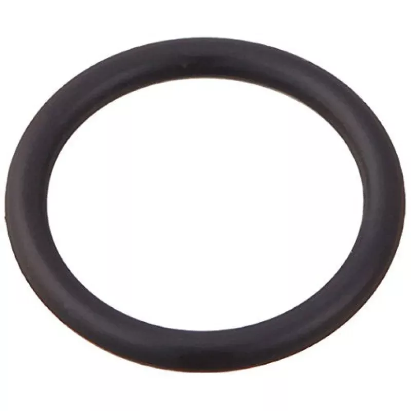 192039Z Pentair Pacfab Flow Filter Valve Oring