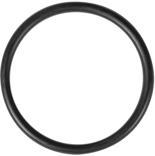 Aladdin Equipment Co. O-Ring – O-125