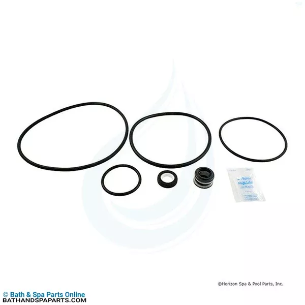 Aladdin Sta-Rite Dynaglas and J Series Pumps Go-Kit 47 (GO-KIT 47)