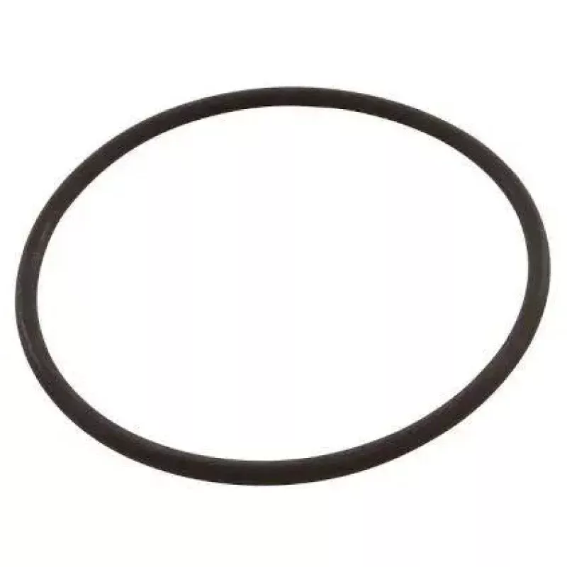 Aladdin Strainer Cover O-Ring - O-218-9