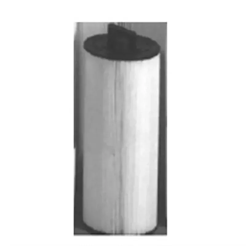 APC Filter Cartridge 10″ X 20 1-16″ 120 Sq Ft