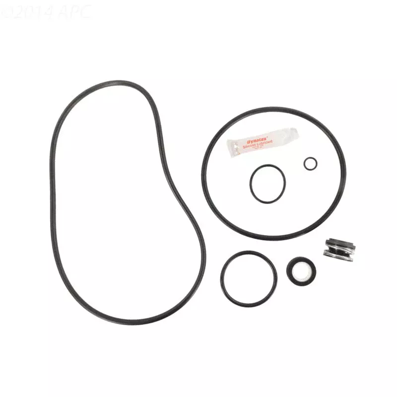 APC Repair Kit for Sta-Rite Max-E-Pro O-Ring Go-Kit, APCK1185