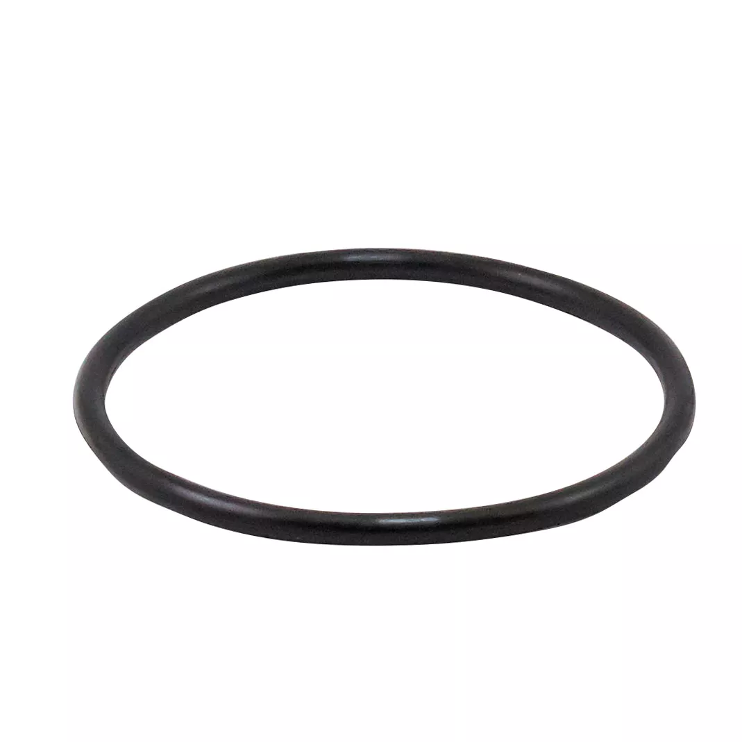 AQUAPURE EI MAIN O RING