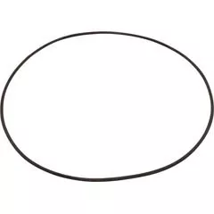 AstralPool O-Ring, Buna-N, Astral, Rapidpool Filter, Collar | 722R2550040