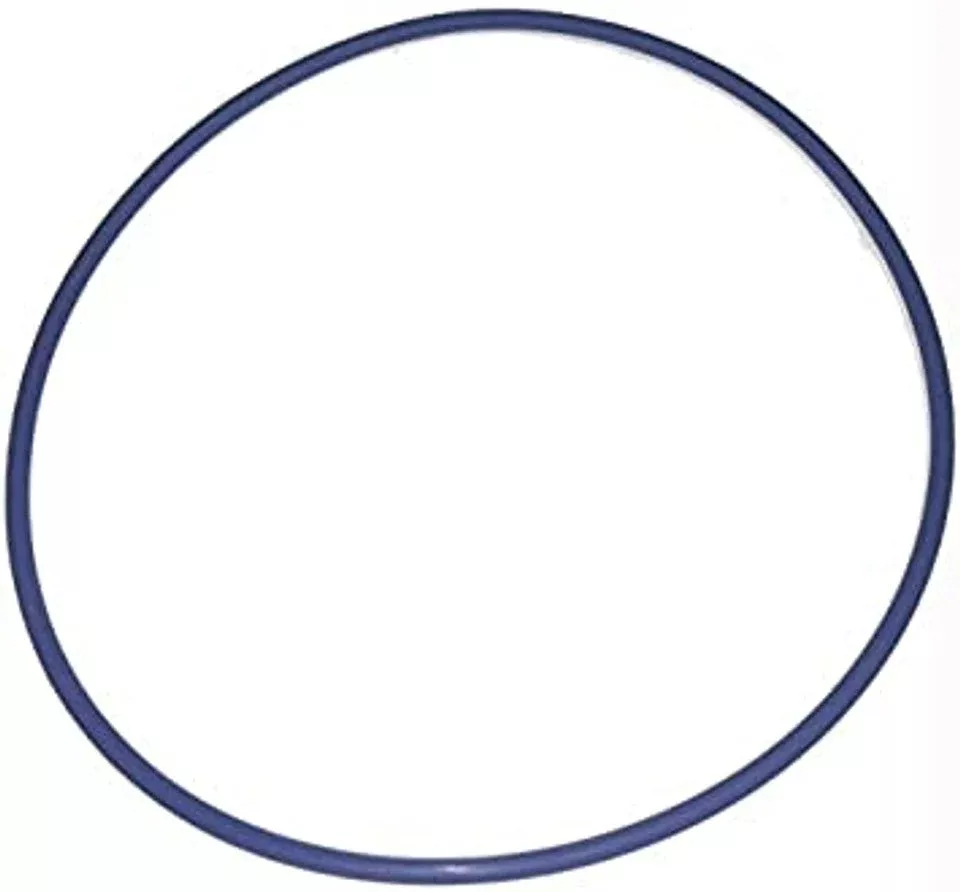 Blue Square Abyss Canister O-Ring, 502004