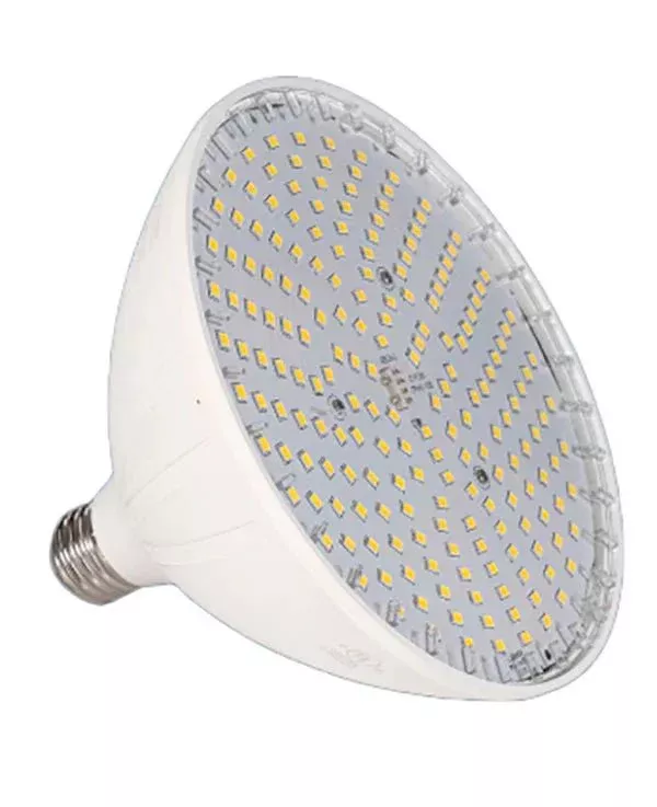 Blue Square Vivid 360 LED Spa Light Bulb Only 20W 120V, VLB2501-WT