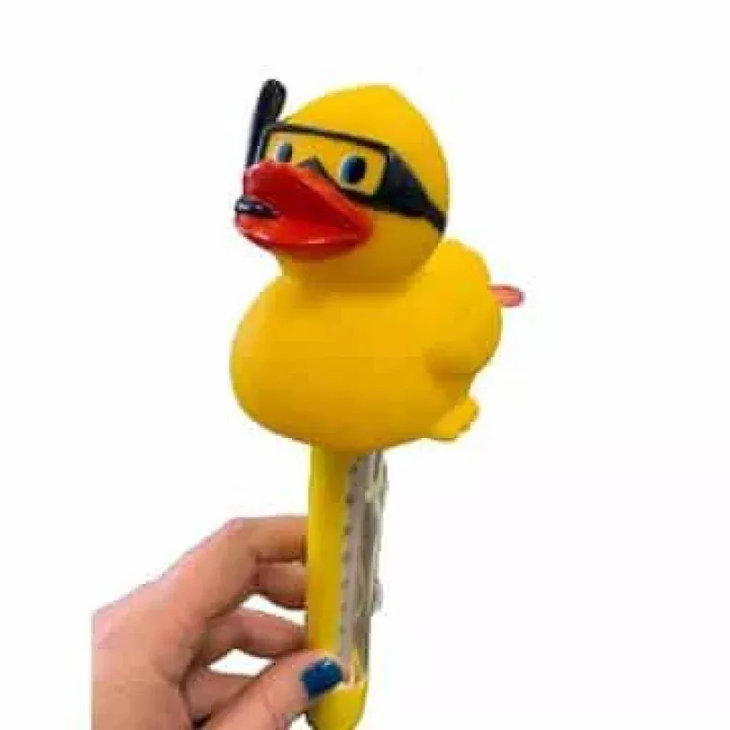 Blue Torrent Diver Duck Pool Thermometer With Fahrenheit And Celsius Readings