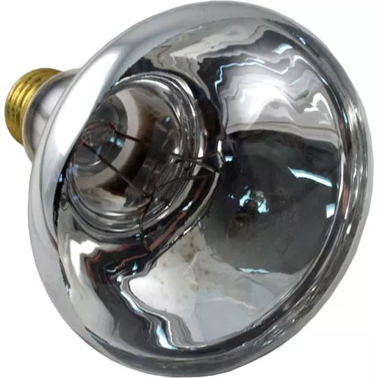 Bulb Medium Base 100W 12 V AMLT 79101800