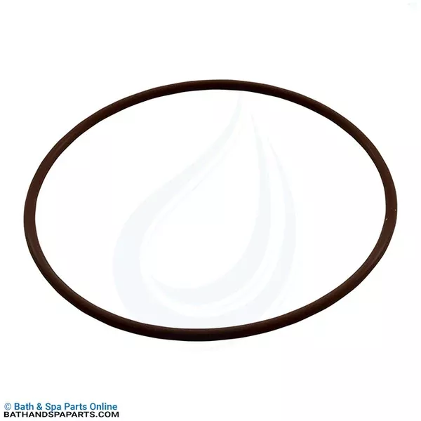 CMP Viton Corrosion Resistant Check Valve O-Ring (26100-096-333)