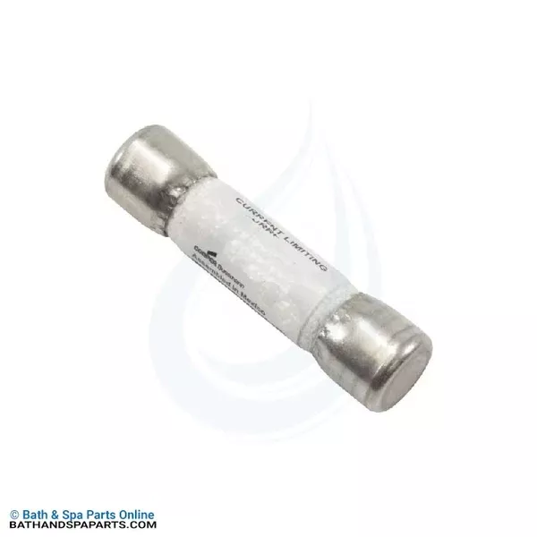 Coates Heater 60A Fuse [600v] (29017004)
