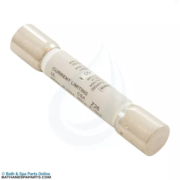 Coates Heater SC-60 Fuse (29018910)