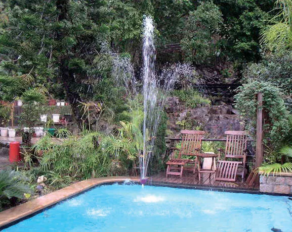 FOUNTAIN W/ ADAPTER (2009)