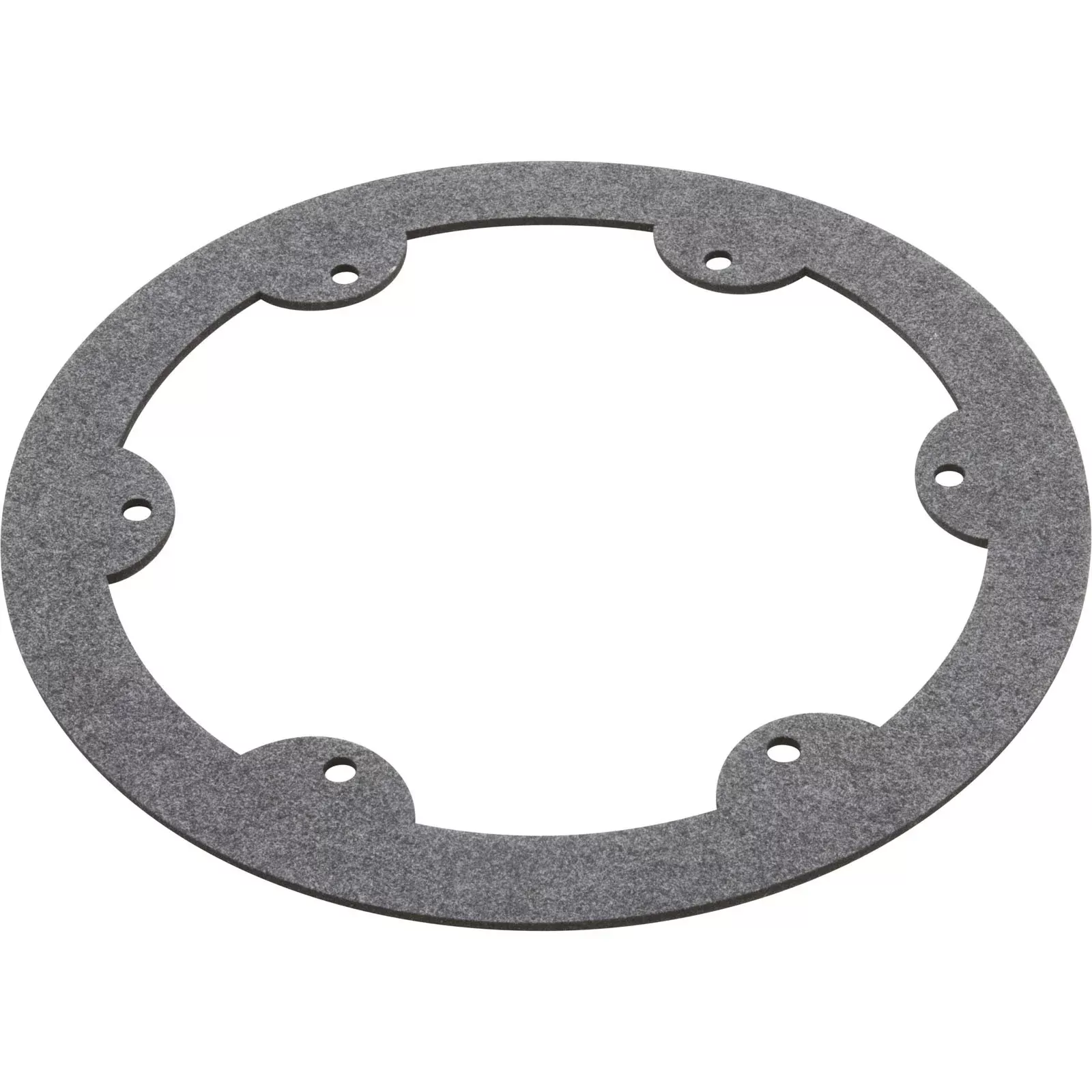 Gasket, Hayward Astrolite II, Light Face Ring : SPX0608G