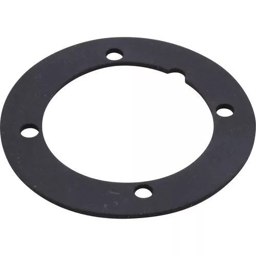 Gasket Jacuzzi Vinyl Liner Return Wall Fitting 13-0006-09-R