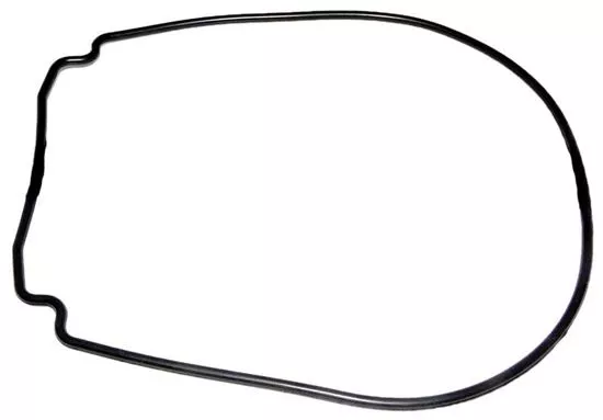 Gasket JHP/JHPU Seal Plate Special R0555900