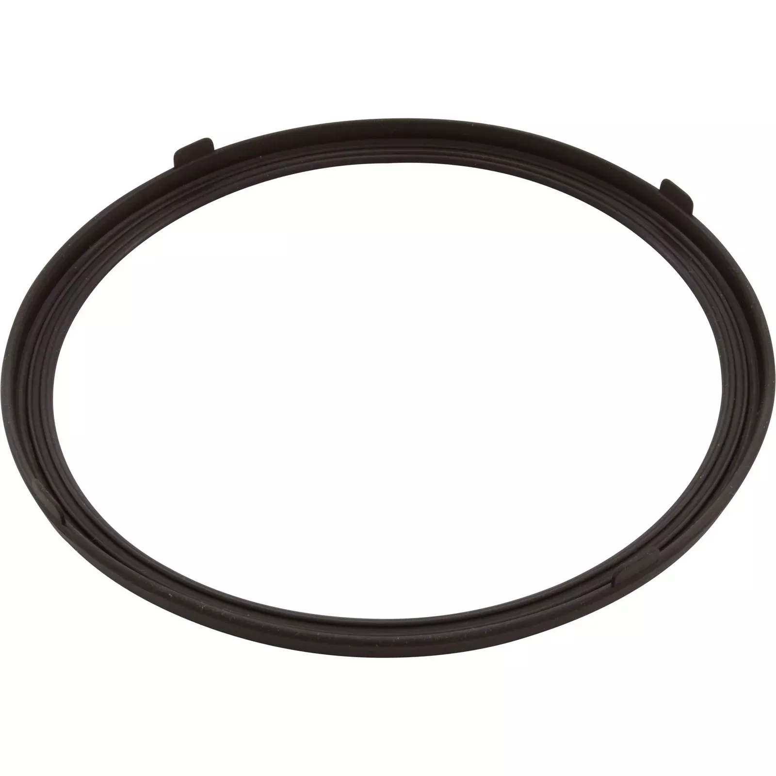 Gasket, Pentair AquaLumin III, Light Lens : 619599Z