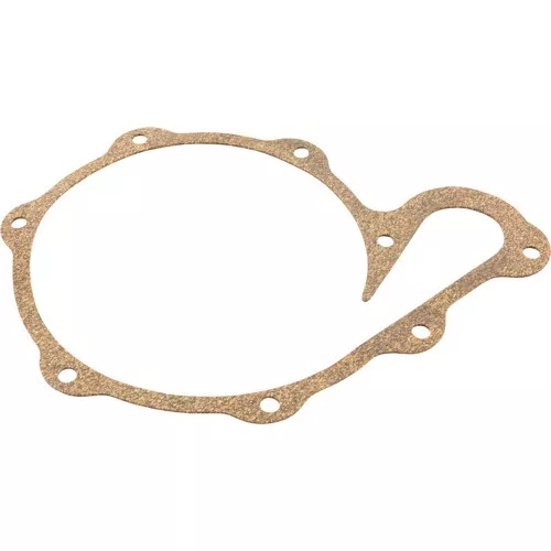 Gasket PS20-21
