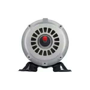 Generic Pump Motor AGL15FL2CS