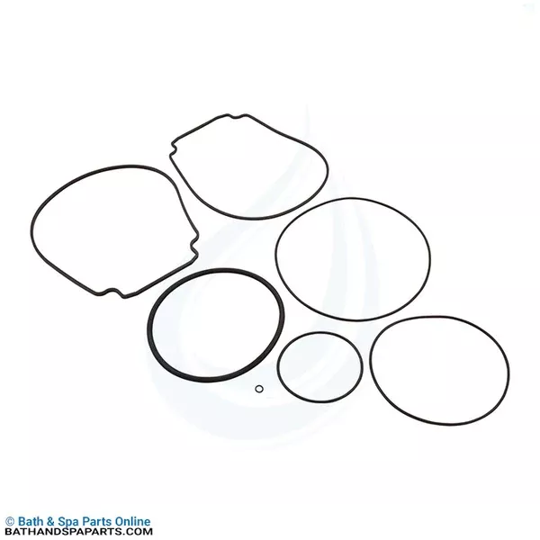 Generic WhisperFlo/IntelliFlo Pump O-Ring Kit (PK-KIT32)