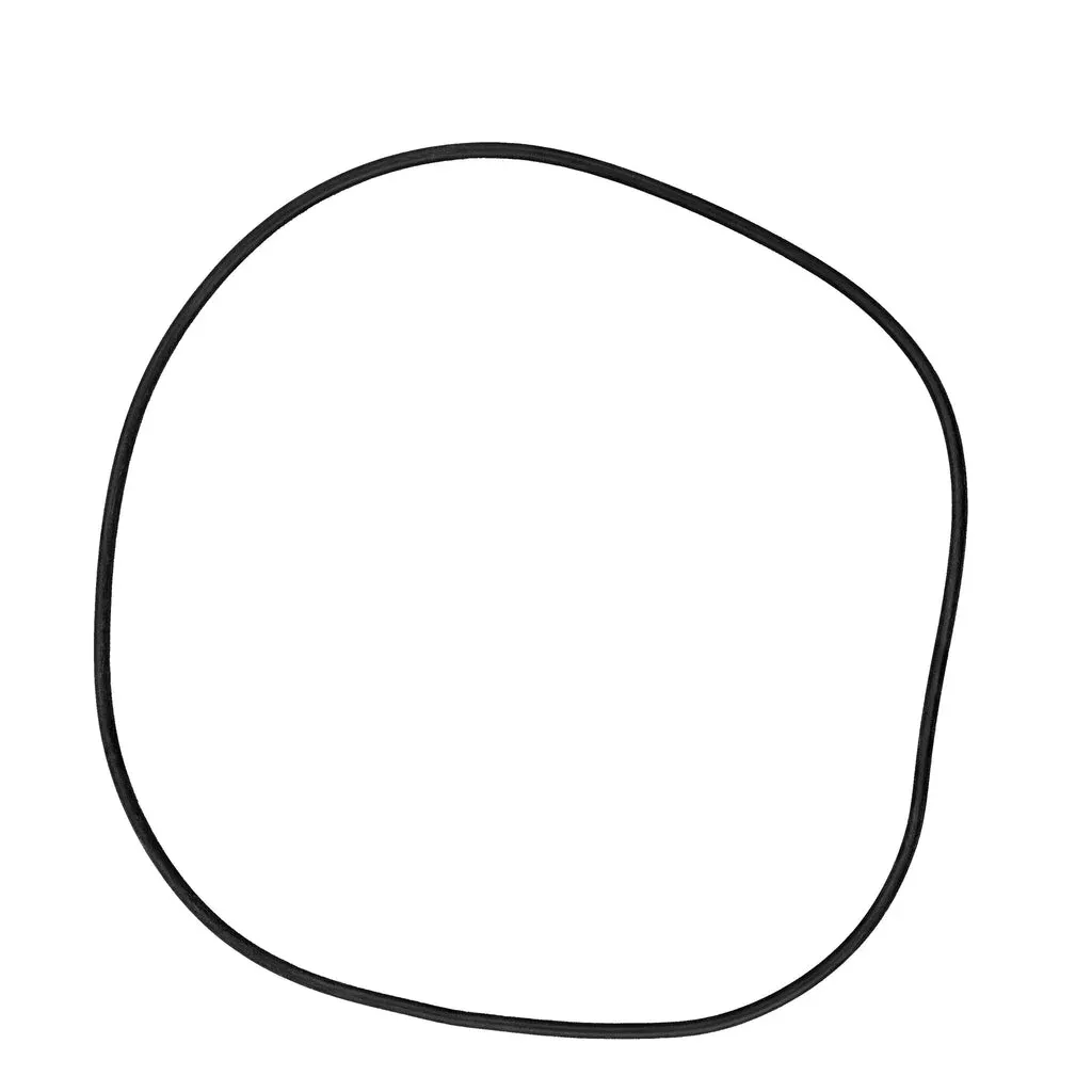 Hayward CCX1000G – Body O-Ring
