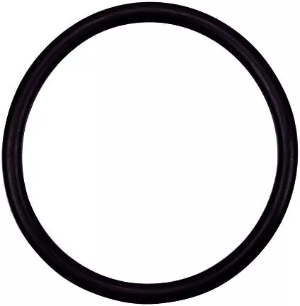 Hayward DEX2400Z5 Outlet Elbow O-Ring
