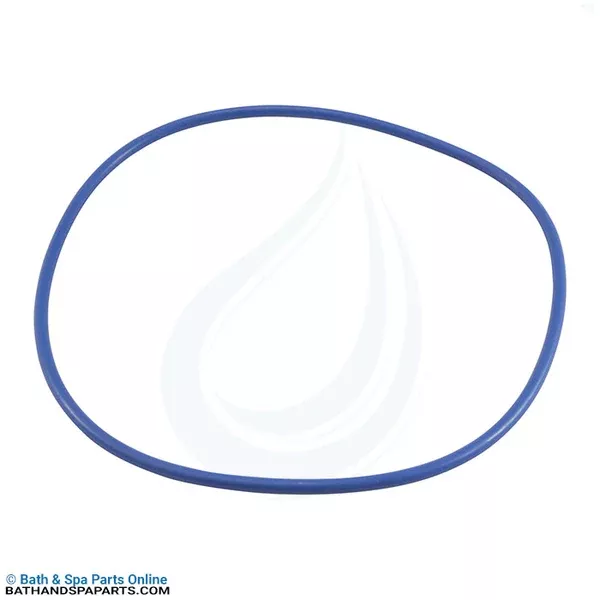 Hayward EasyClear Filter Cover O-Ring (CX400G)