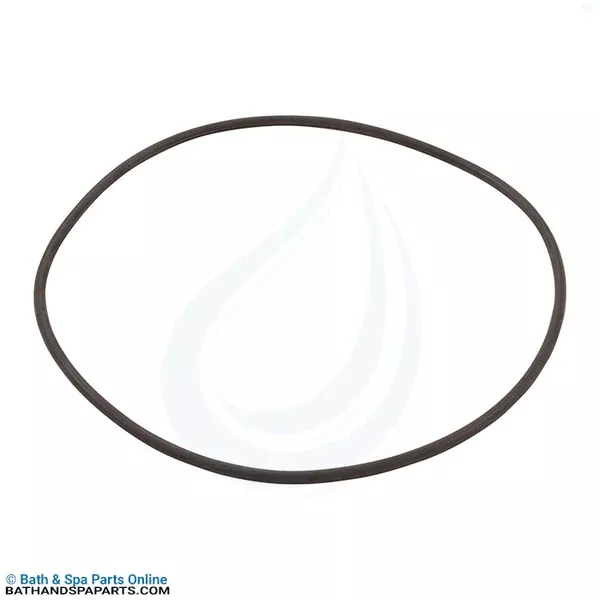 Hayward Filter Head O-Ring (CXFHR1001)