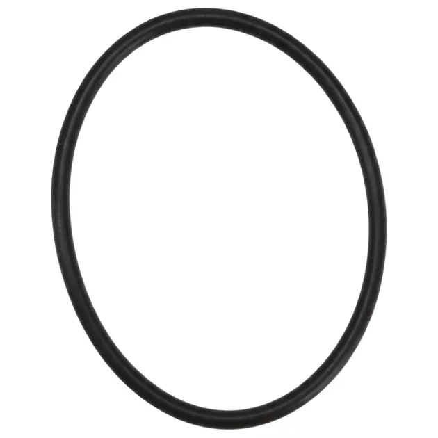 Hayward Gauge Adapter O-Ring for Perflex Extended-Cycle DE Filters W3EC50AC W3EC65A W3EC75A | ECX1287