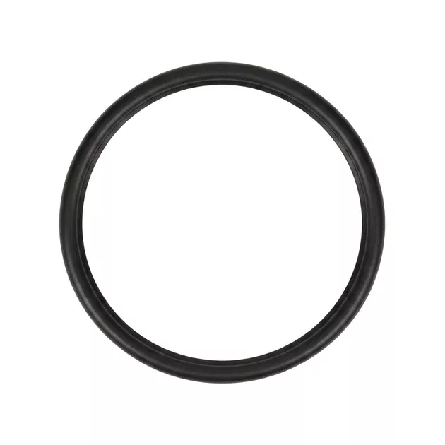 Hayward Lens Gasket | SPX0540Z2
