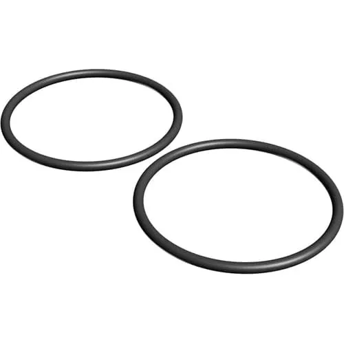 Hayward O-Rings Pack of 2 for Hayward Heaters | HAXFOR1930