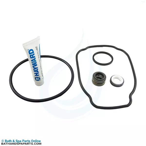 Hayward Quick Fix O-Ring Kit (SPXHKIT2)