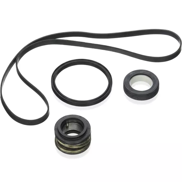 Hayward Seal Assembly Kit | SPX3000TRA