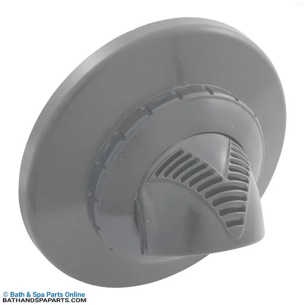 Infusion Pool 2″ Glueless Venturi Inlet Fitting [Lt Gray] (VRFSAF1LG)