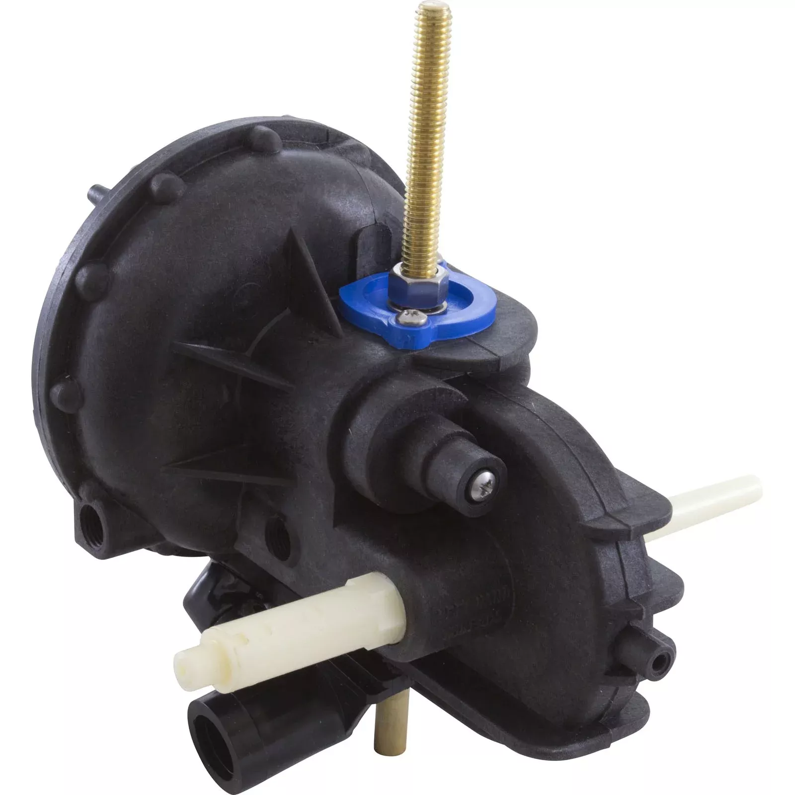 Internal Motor Pentair Arneson II with Gears LG272