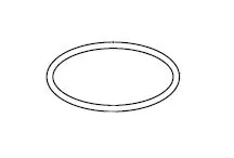 Jandy FloPro FHPM Lid O-ring # R0480200