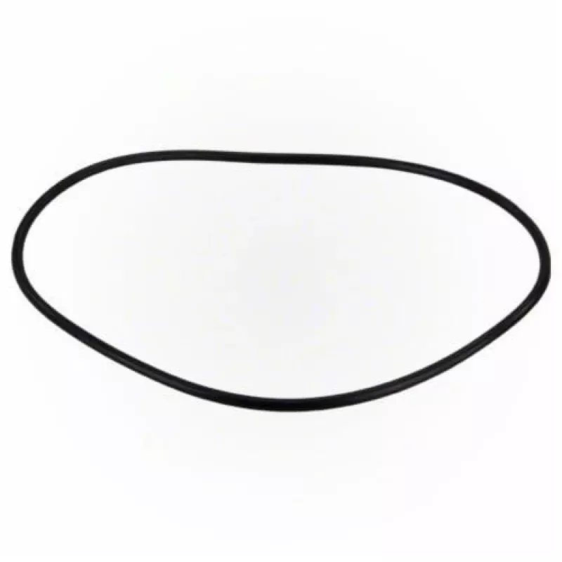 Jandy Pro Series FHP Backplate O-Ring | R0480300