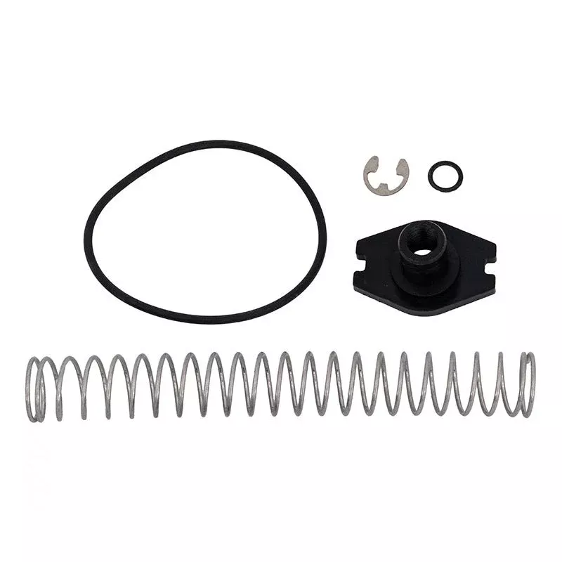 Jandy R0453900 Bypass Polymer Adjustable Spring Replacement Kit