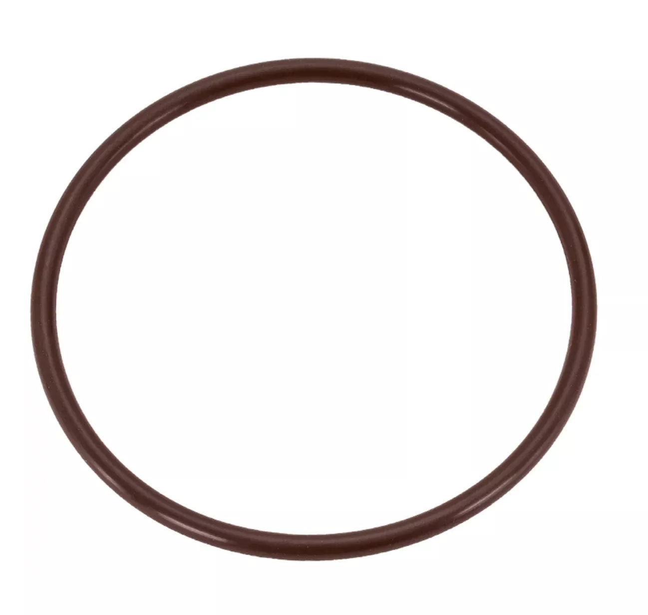 Jandy TruChlor Cover O-Ring, R0966900