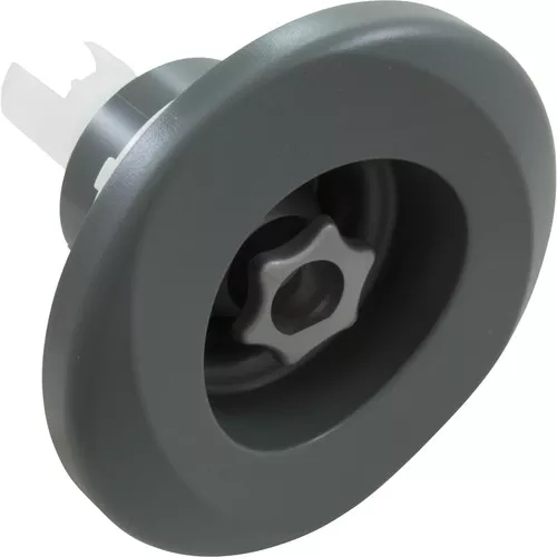 Jet Intl Jacuzzi PowerPro LX 5-1/4″fd Roto Gry with Ring 6000-363