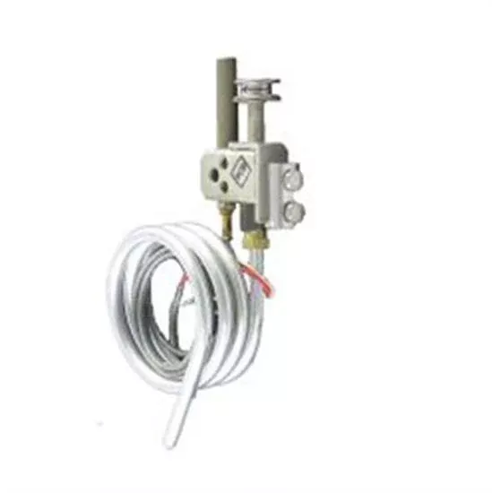 Laars Pilot Burner-Generator Assembly LP