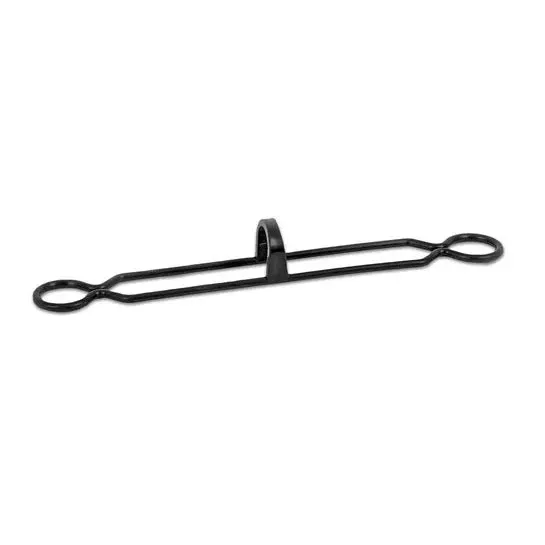 Maytronics Dolphin 9981430-R2 Pool Cleaner Filter Bag Clips, 2-Pack