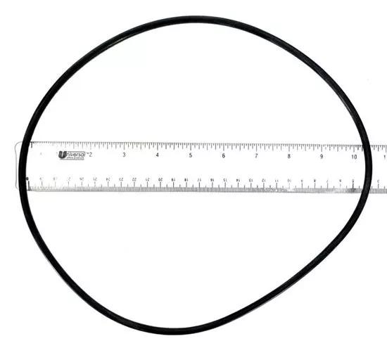 O-Ring, Backplate9-1/2" ID, 3/16" R0446300