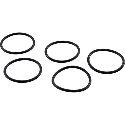 O-Ring Kit A & A Manufacturing Caretaker Piston 521261