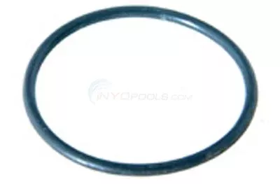 O-ring, Pipe Plug (92200060)
