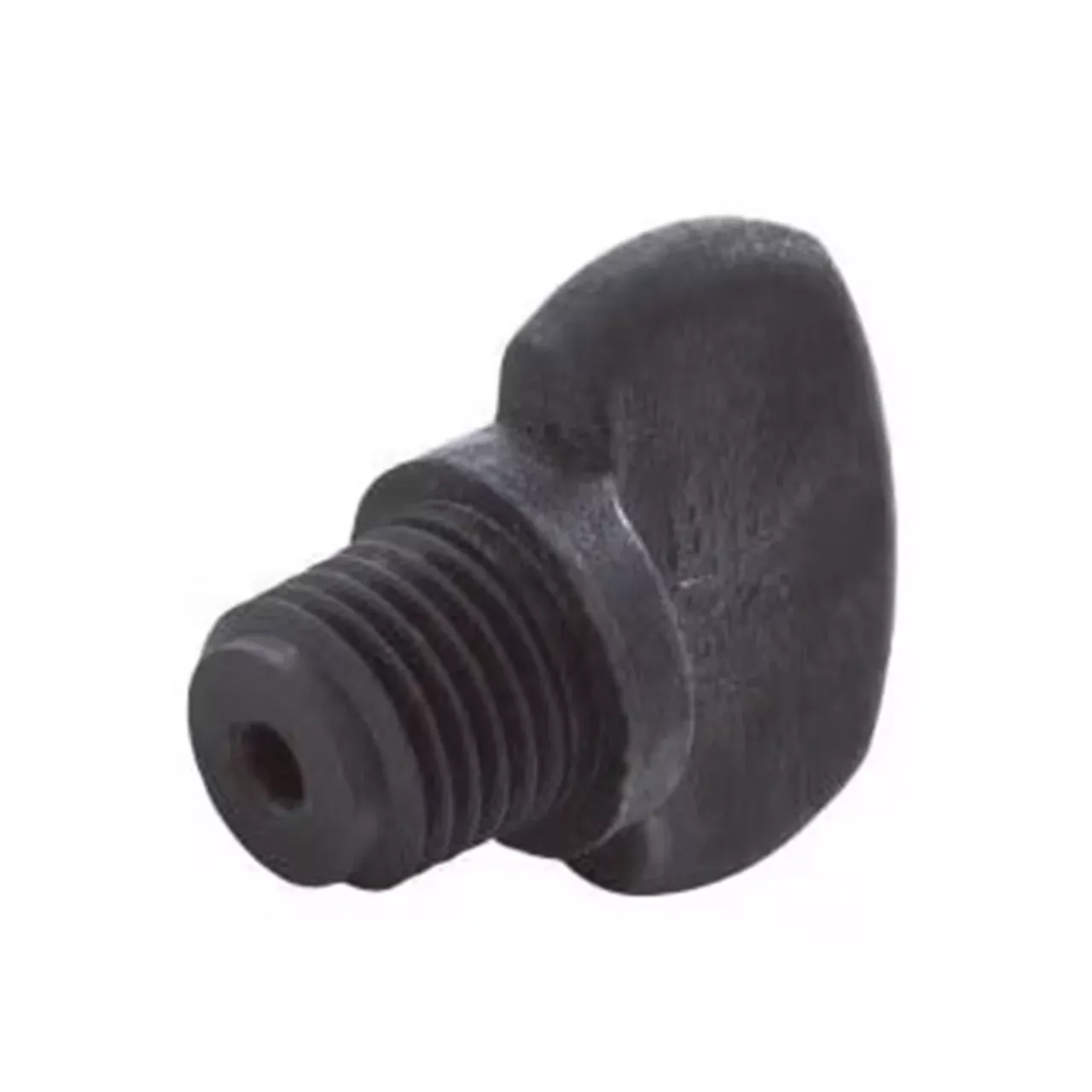 Pentair 1/4" Drain Plug, Black