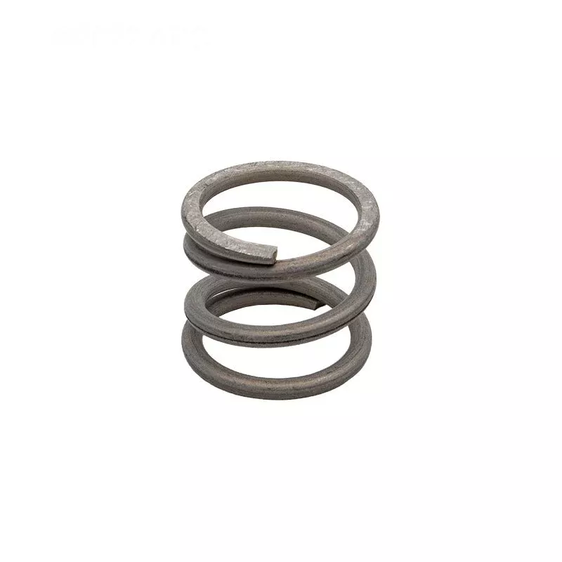 Pentair 271161Z Valve Spring