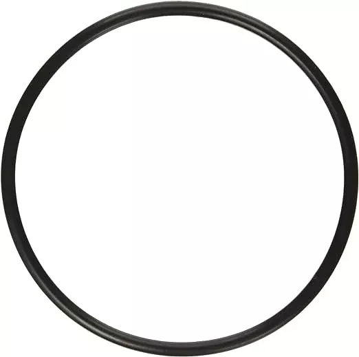 PENTAIR 3/16″ HiFlow O-Ring 272541