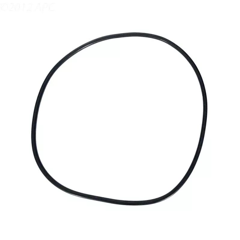 Pentair 356780Z Seal Plate O-Ring 3/8X11