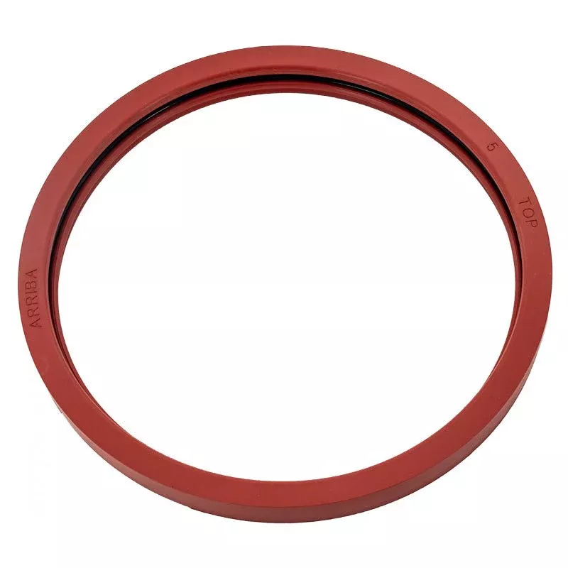 Pentair 620400Z Kit Lens Gasket